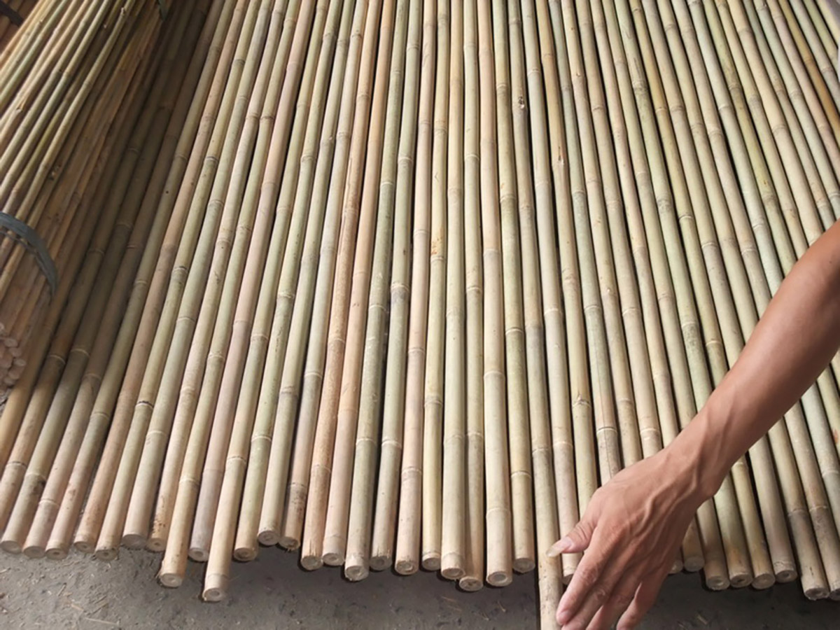 prodotti in bambu